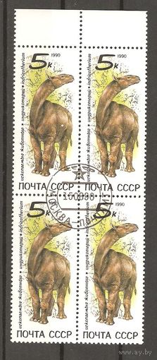 СССР.Квартблок 1990.Индрикотерий. Ископаемые животные.Состояние отличное.ГаШ.