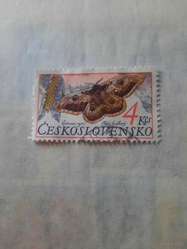 Чехословакия. Фауна. Бабочки