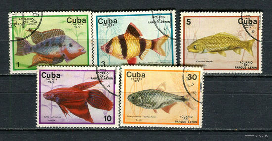 Куба - 1977 - Рыбки - 5 марок. Гашеные.  (Лот 2JN)-T4P1
