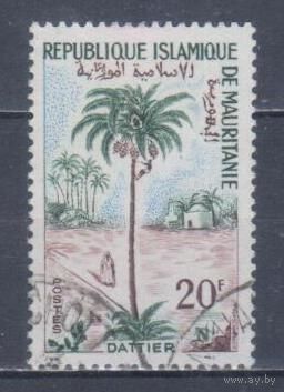 [1631] Мавритания 1967. Флора.Плоды.Пальма. Гашеная марка.