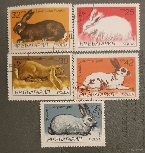 Болгария кролики 5шт