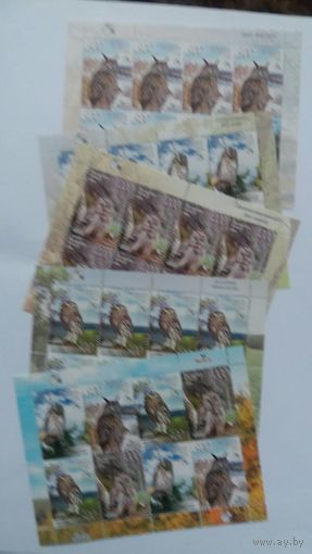 РБ  2008  5 м/л  совы   К