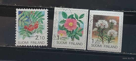 РАСПРОДАЖА ФИНЛЯНДИЯ. Гаш.