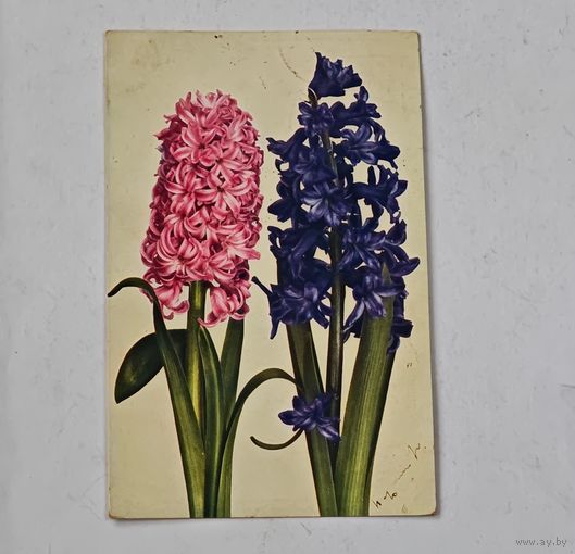 1908 год Либава Открытка