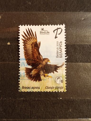 2019 Беларусь фауна птицы (5-7)