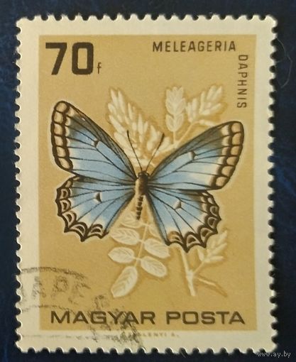 Венгрия 1966 бабочки 1 из 9