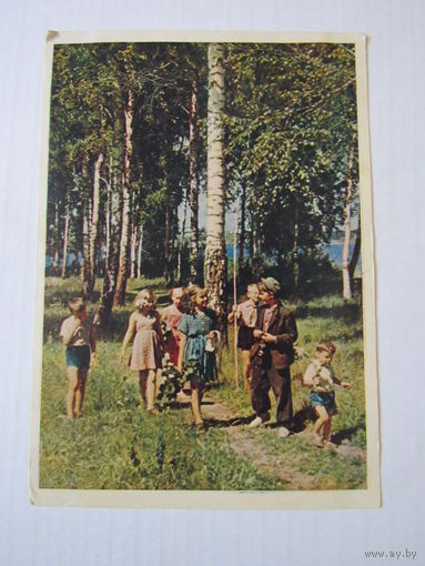 По грибы "Цветное фото, Л. Бородулина,