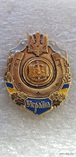 Инженерные войска Украина*