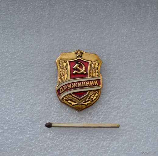 Дружинник.