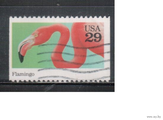 США-1992, (Мих.2325), гаш., Фауна , Фламинго