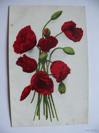 Цветы, маки; ~1950-е гг., чистая.