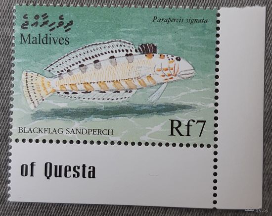 1978 - Чернопятнистый параперцис - Мальдивы