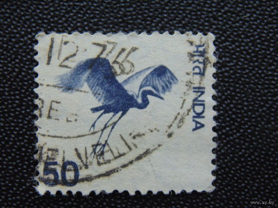 Индия. Журавль.