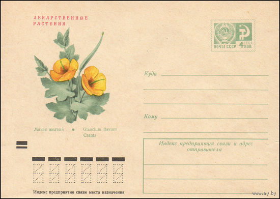 Художественный маркированный конверт СССР N 8067 (10.02.1972) Лекарственные растения  Мачек желтый
