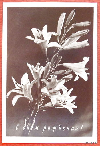 С Днём Рождения! Чистая. 1959 года. 106.