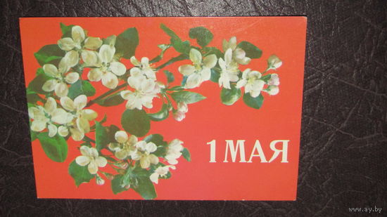 Открытка "С 1 Мая"