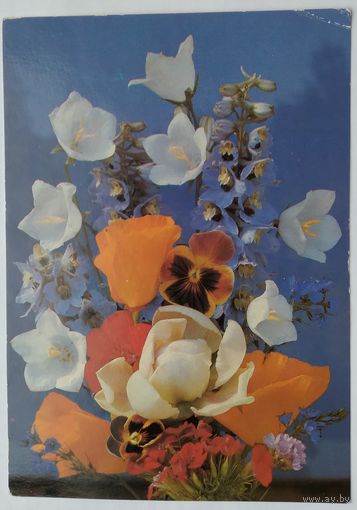Открытка .1988 г. Чистая . Берлин.
