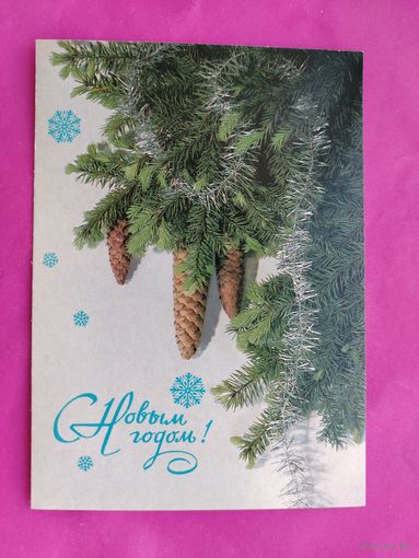 С новым годом! Чистая. 1988 года. Дергилев. 2505.