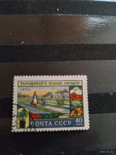 1954 СССР Загорский 1709 флора (сф-4)