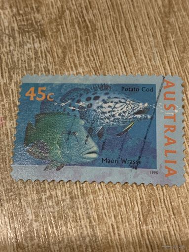 Австралия 1995. Рыбы Океании. Марка из серии