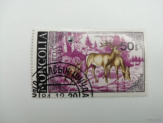 Монголия 1985. Олени