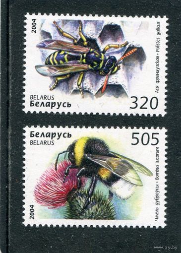 Беларусь 2004. Пчелы. Насекомые