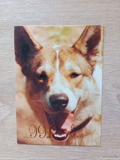 Календарик 1991