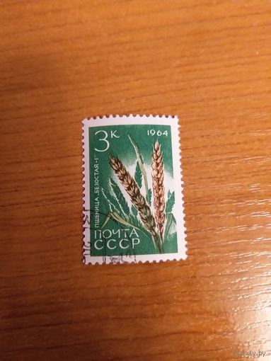 1964 СССР Загорский 2972 флора  клей MNH** (с-9)