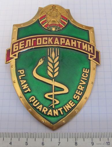 Знак Белгоскарантин