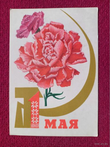 1 Мая! Белорусская открытка. Дубовицкая ( Дубавицкая ) 1969 г. Чистая.