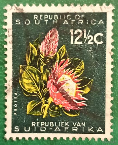 ЮАР 1961. Цветы Протеи