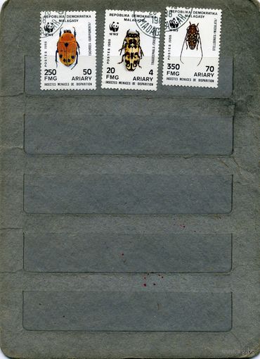 МАДАГАСКАР, 1988,    ЖЕСТКОКРЫЛЫЕ (ЖУКИ)  ,    3м