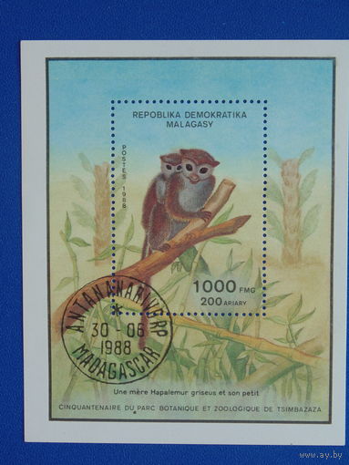 Мадагаскар  1988г. Фауна. Блок.
