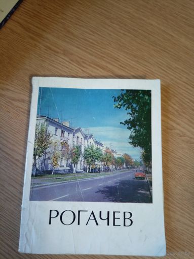 Рогачев\08