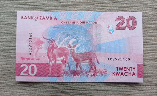 Werty71 Замбия 20 квача 2024 птица Орлан-рыболов водопад Чишимб антилопы куду UNC Банкнота