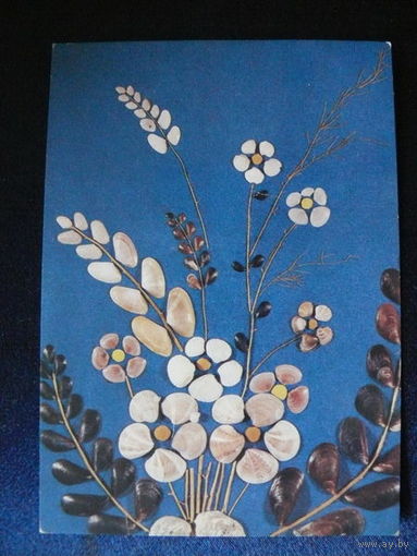 Фото А. Пересыпкина, Декоративная композиция (ракушки), 1989, чистая.