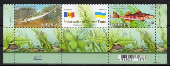Украина 2007.Фауна Днестра.Рыбы.Совм. выпуск Украина-Молдова 2марки+купон с нижним полем (451)