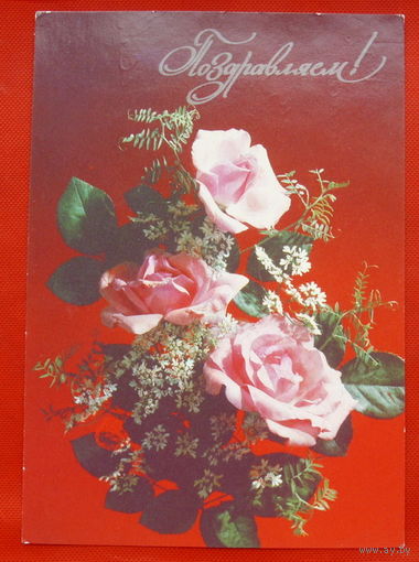 Поздравляем! Подписанная. 1991 года. Дергилева. # 56.