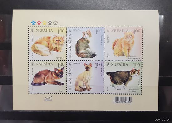 Украина. 2008 год. Фауна. Кошки (1245)