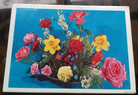 1977 год Б.Круцко С днём рождения