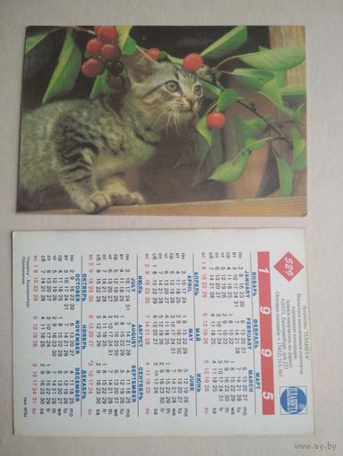Карманный календарик.Кошки.1995 год