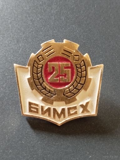 Знак 25 лет БИМСХ