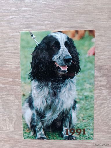 Календарик 1991