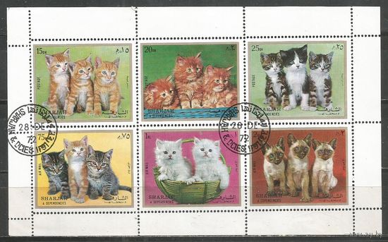 Шарджа. Котята. 1972г. St#1386-91. Klb.