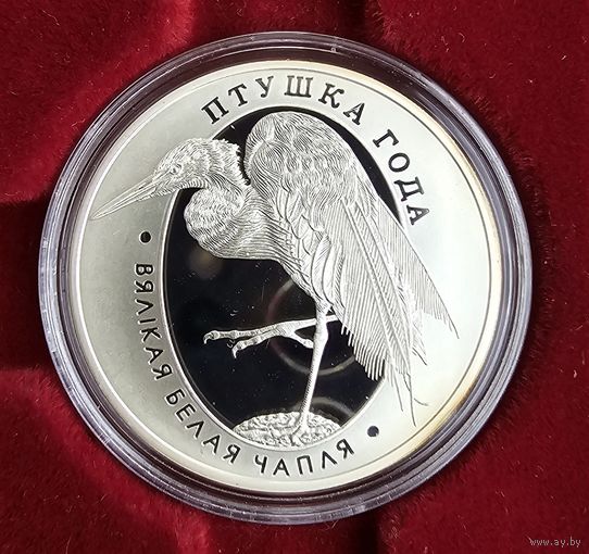 Большая белая цапля. Птица года. 2008 год. Серебро.