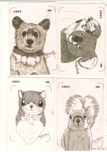 Посткроссинг. Подборка из 8 открыток: звери. Художественные марки, прошли почту, почтовые штемпели. Цена за лот.