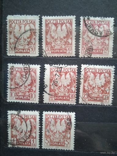 Польша стандарт