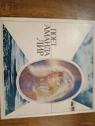 Виниловая пластинка