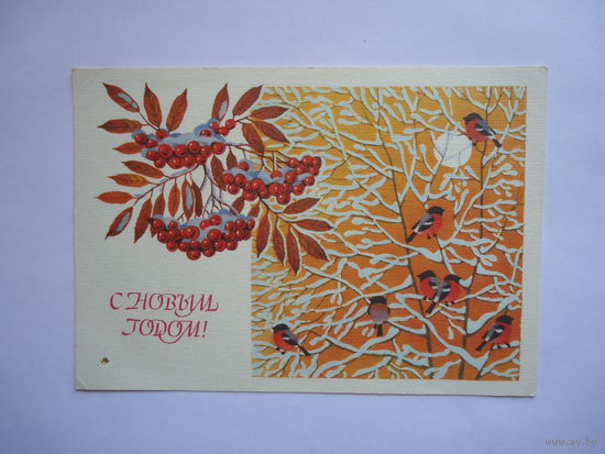 С Новым годом.Чистая.1988г.