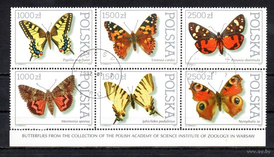Бабочки Польша  1991 год серия из 6 марок в сцепке